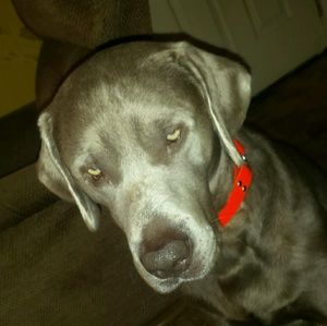 Meet your Posher, Mike